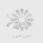 حبیب حبیبی